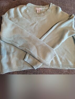 Light Mint Crewneck Cropped Sweater - Women